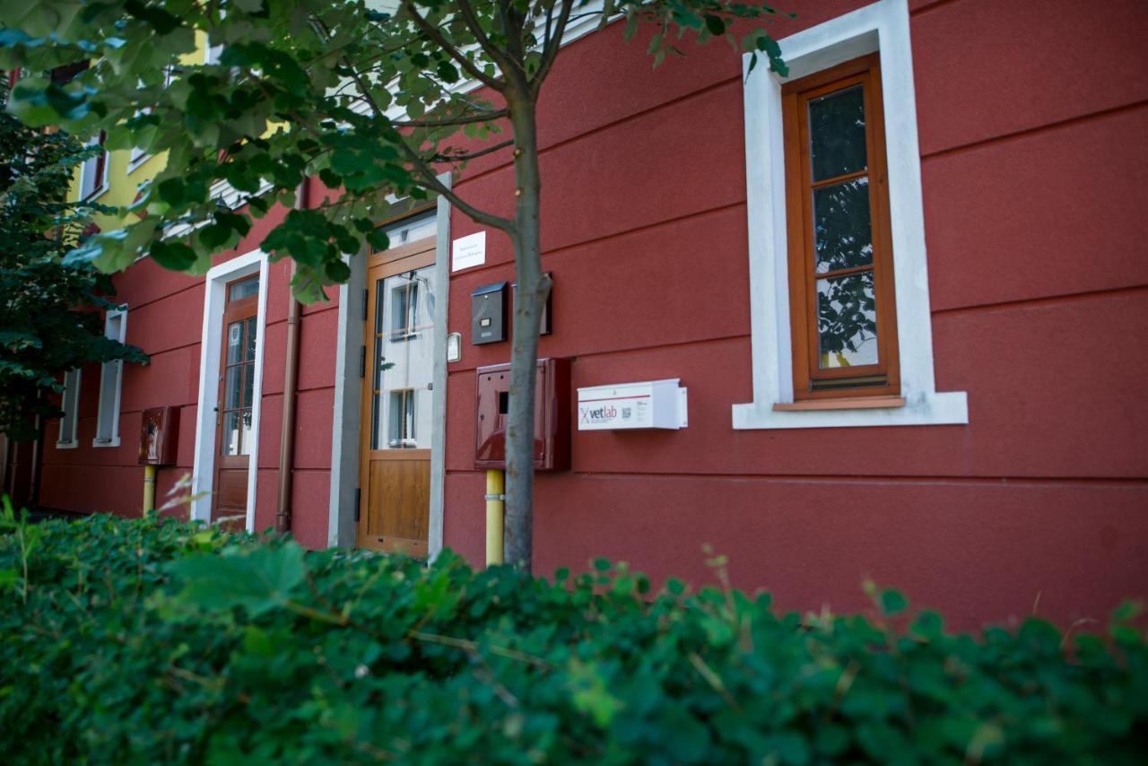 Apartamenty Centrum Biskupiec Biskupiec  Exterior photo